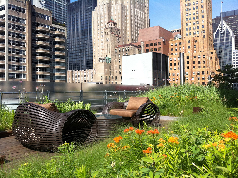green roof in NYC