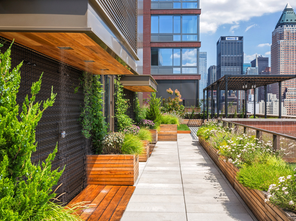 green roof in NYC